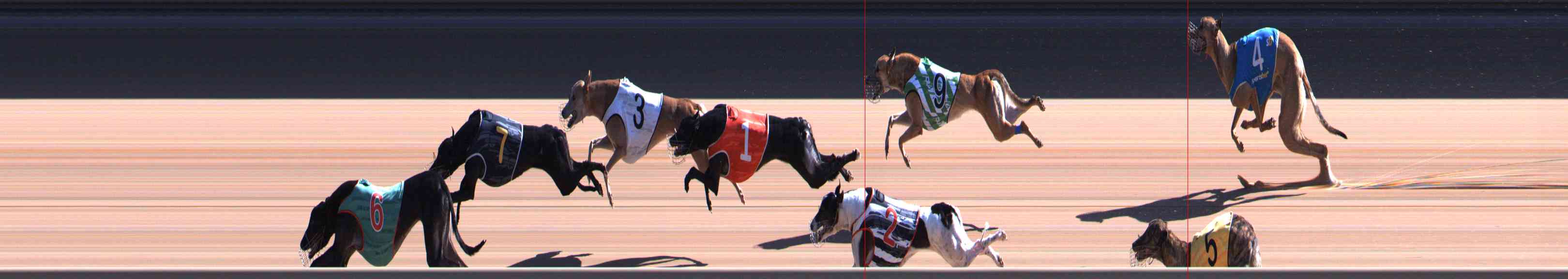 Race result finish photo